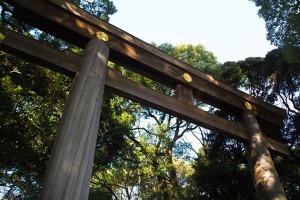 初詣 デート プラン