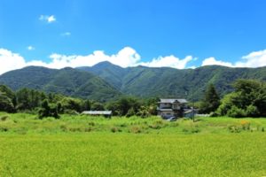 テラスハウス 軽井沢 31話 ネタバレ